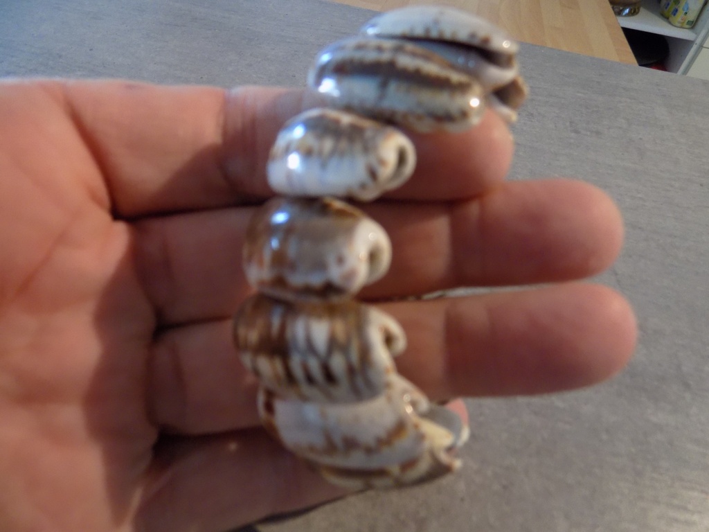 Artisanat - Bracelets coquilles Oliva 