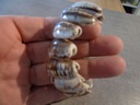 Artisanat - Bracelets coquilles Oliva 