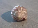 DSCN0434.webp