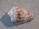 DSCN0436.webp