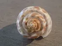 DSCN0416.webp