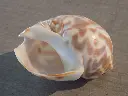 DSCN0417.webp