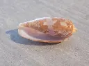 DSCN0430.webp