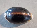DSCN0466.webp