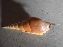 DSCN0561.webp
