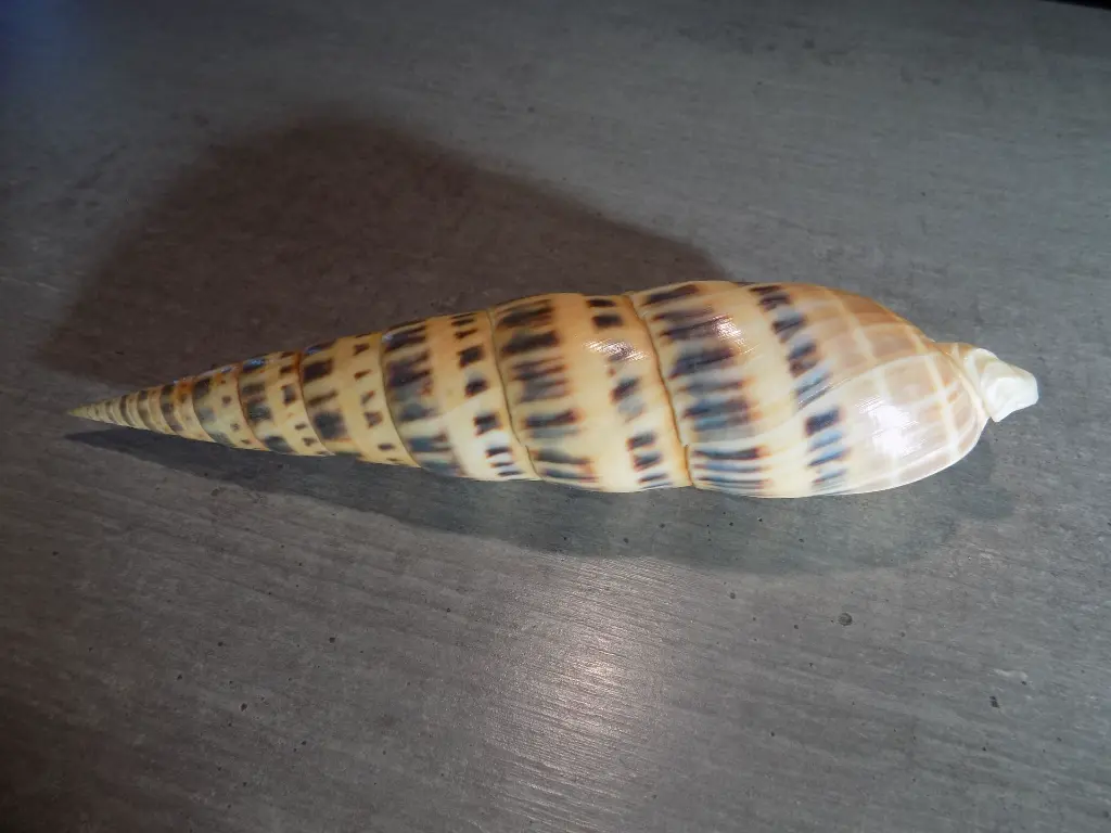 DSCN0563.webp