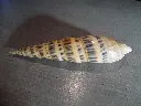 DSCN0563.webp