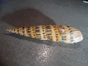 DSCN0564.webp