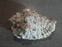DSCN0573.webp