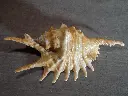 DSCN0569.webp