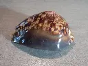 DSCN0579.webp