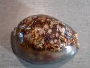 DSCN0581.webp