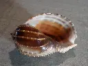 DSCN0576.webp