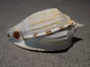 DSCN0583.webp