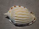DSCN0587.webp