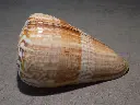 DSCN0588.webp