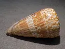 DSCN0589.webp