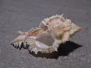 DSCN0598.webp