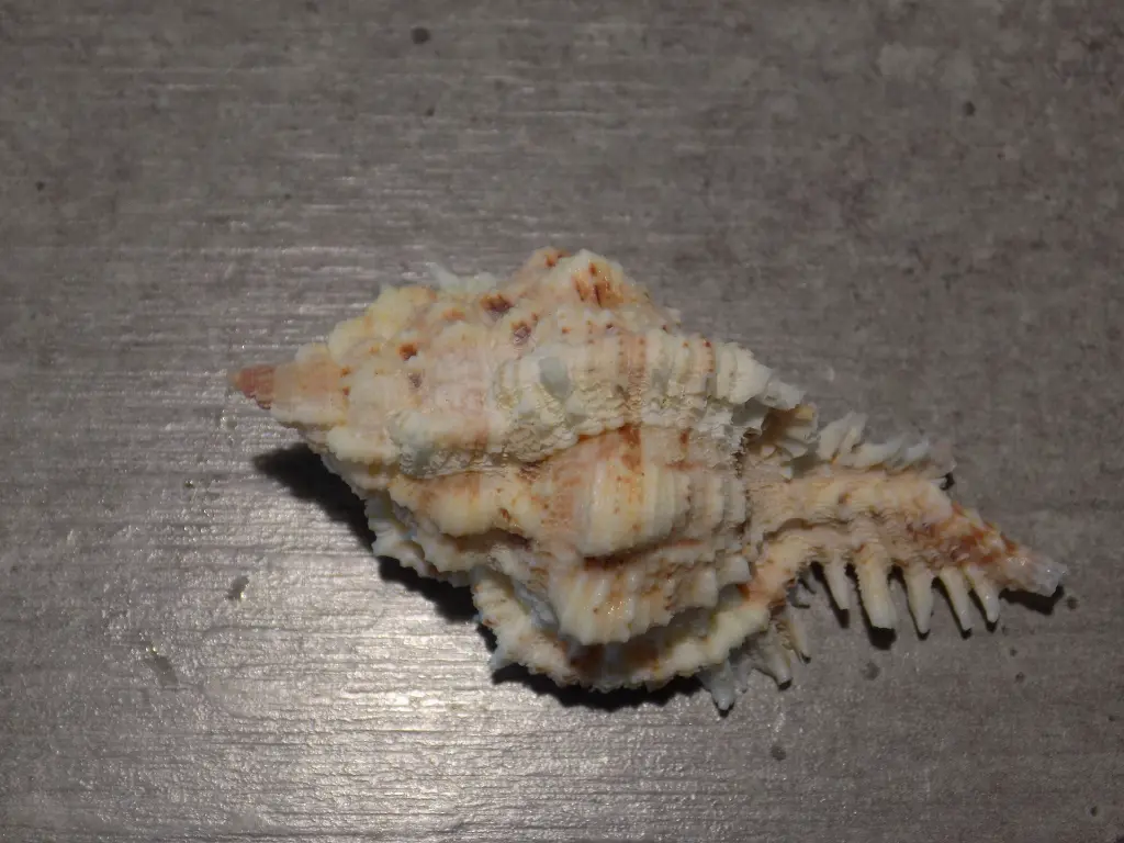 DSCN0599.webp