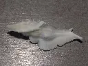 DSCN0607.webp