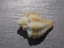 DSCN0616.webp