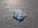 DSCN0691.webp