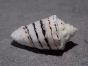 DSCN0648.webp