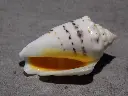 DSCN0649.webp
