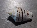 DSCN0650.webp