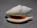 DSCN0641.webp
