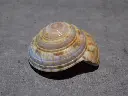 DSCN0637.webp