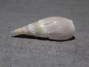 DSCN0621.webp