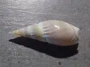 DSCN0624.webp
