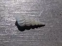 DSCN0628.webp