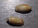 DSCN0658.webp