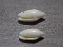 DSCN0653.webp