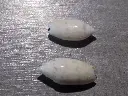 DSCN0654.webp