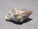 DSCN0664.webp