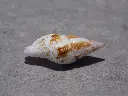 DSCN0672.webp