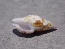 DSCN0673.webp