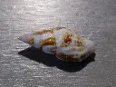 DSCN0674.webp