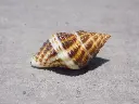 DSCN0668.webp