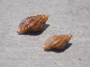 DSCN0676.webp