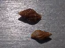 DSCN0678.webp