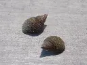 DSCN0680.webp