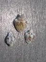 DSCN0695.webp