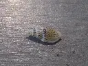 DSCN0701.webp