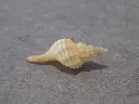 DSCN0703.webp