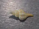 DSCN0705.webp