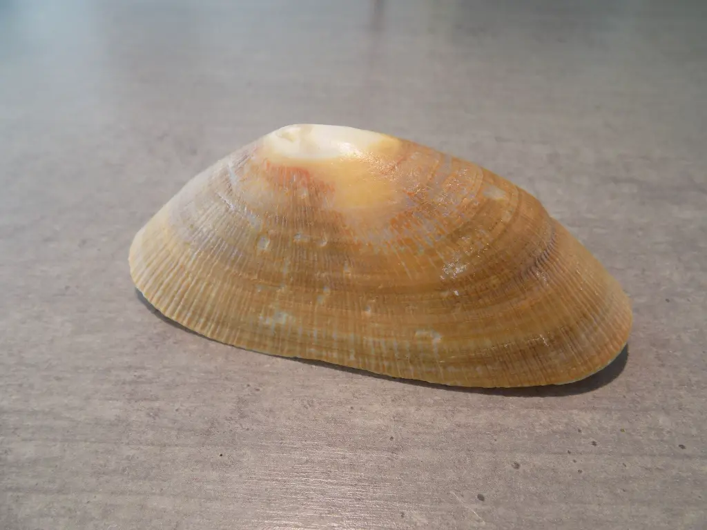 DSCN0724.webp